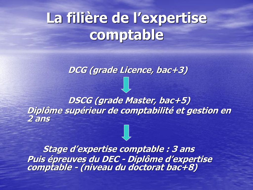 DCG (Diplôme De Comptabilité Et De Gestion) - Ppt Télécharger