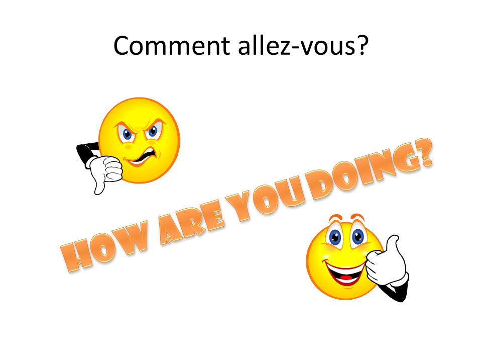 Comment allez-vous How are you doing