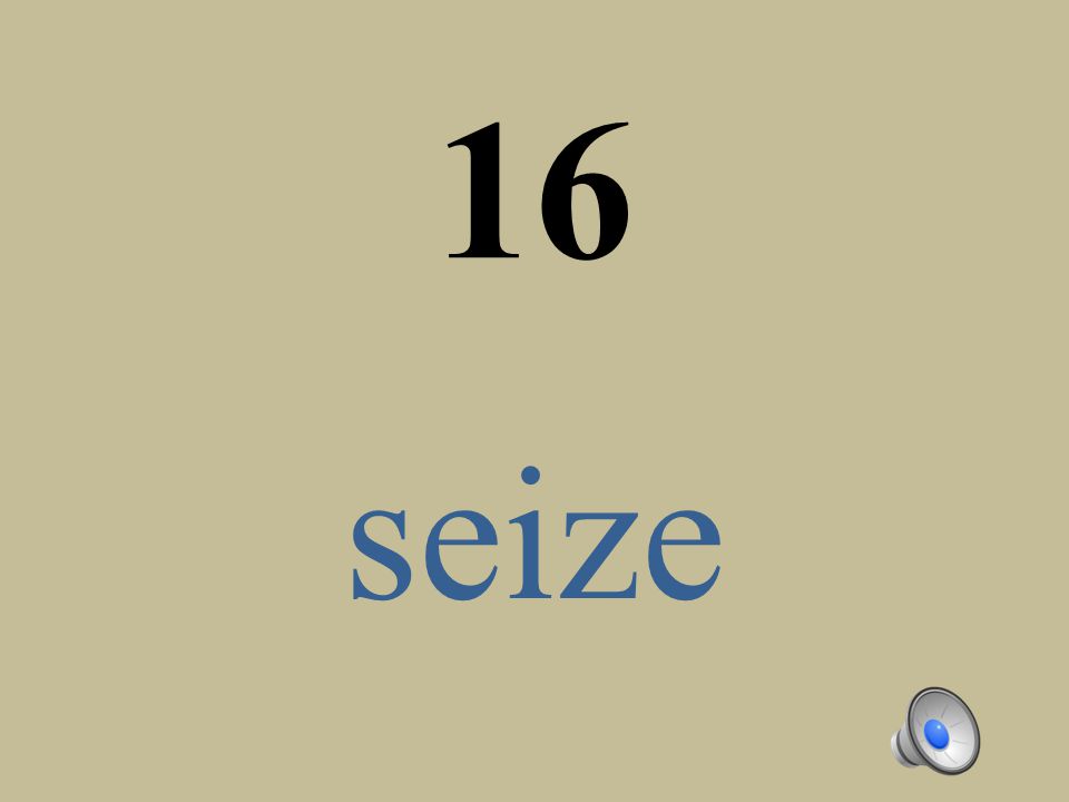 16 seize