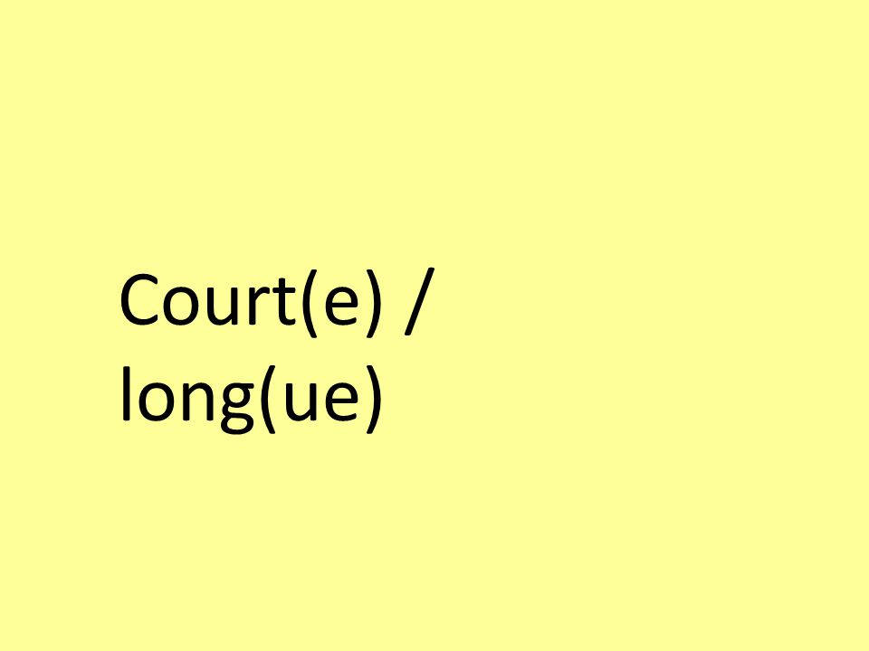 Court(e) / long(ue)