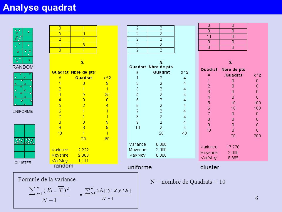 Analyse quadrat x x x cluster uniforme Formule de la variance