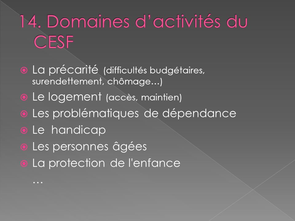 14. Domaines d’activités du CESF