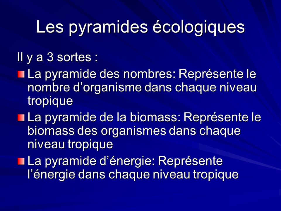 Les pyramides écologiques