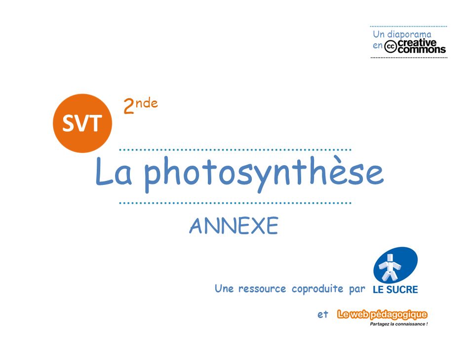 2nde SVT La photosynthèse ANNEXE