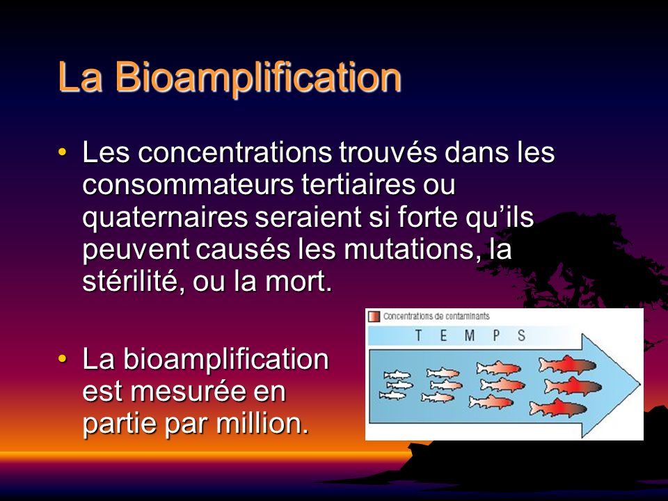 La Bioamplification