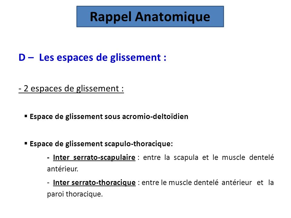 Rappel Anatomique D – Les espaces de glissement :