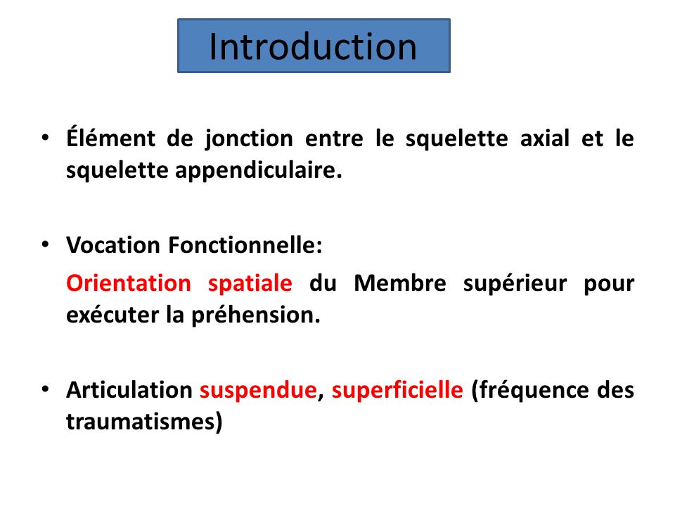 Introduction Élément de jonction entre le squelette axial et le squelette appendiculaire. Vocation Fonctionnelle: