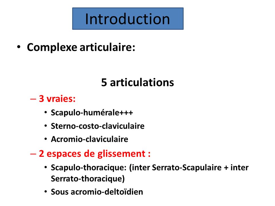 Introduction Complexe articulaire: 5 articulations 3 vraies: