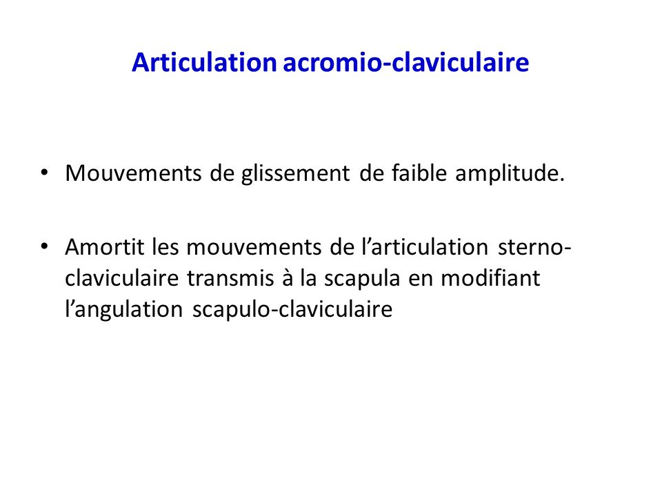 Articulation acromio-claviculaire