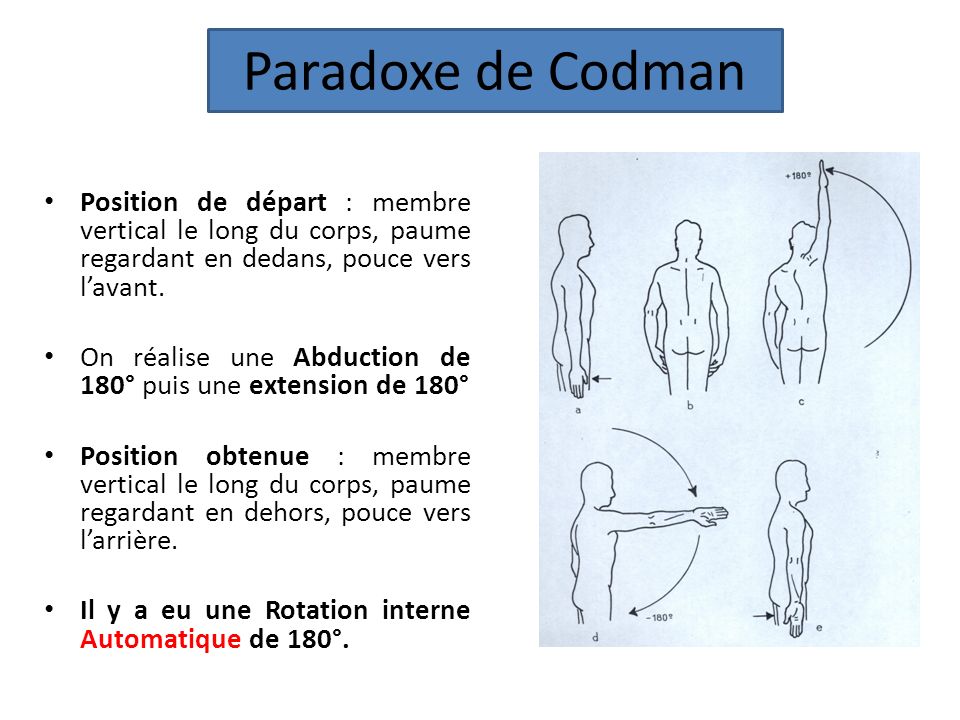 Paradoxe de Codman Position de départ : membre vertical le long du corps, paume regardant en dedans, pouce vers l’avant.