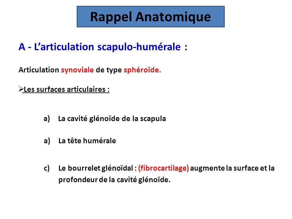 Rappel Anatomique A - L’articulation scapulo-humérale :