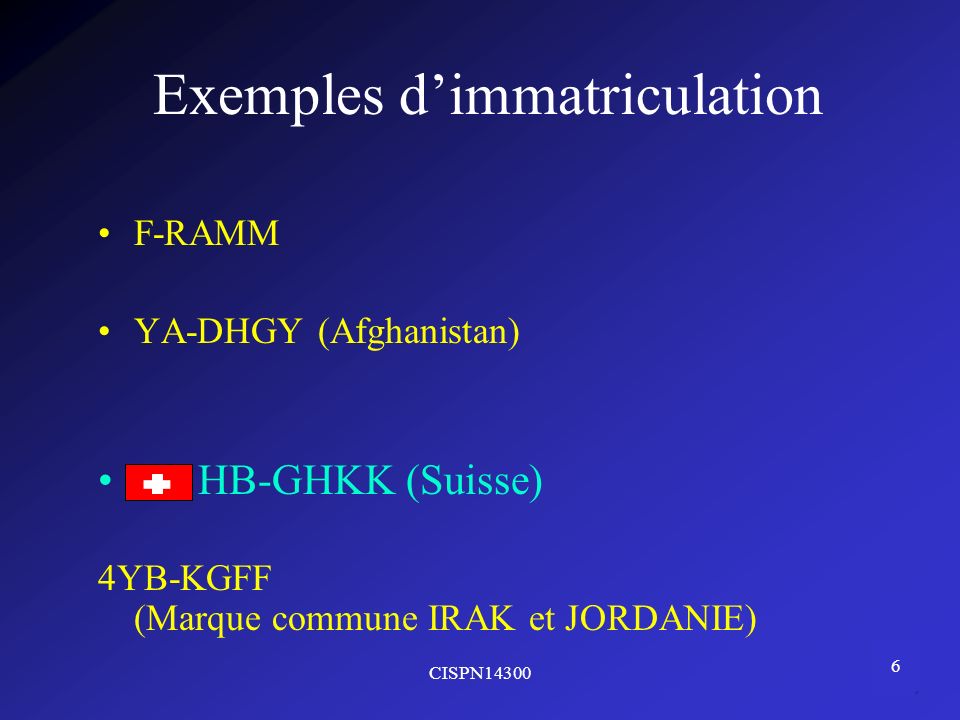 Exemples d’immatriculation