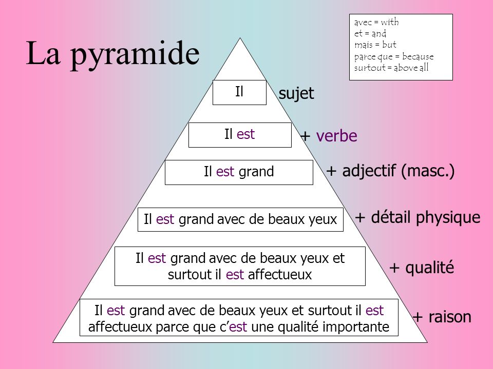 La pyramide sujet + verbe + adjectif (masc.) + détail physique