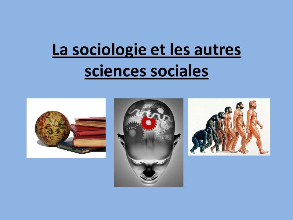 La sociologie et les autres sciences sociales