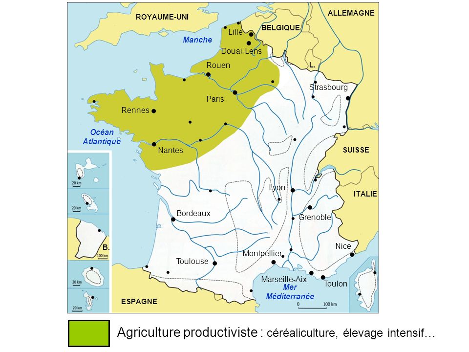 Agriculture productiviste : céréaliculture, élevage intensif…