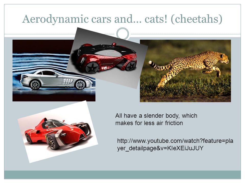 Aerodynamic cars and… cats! (cheetahs)