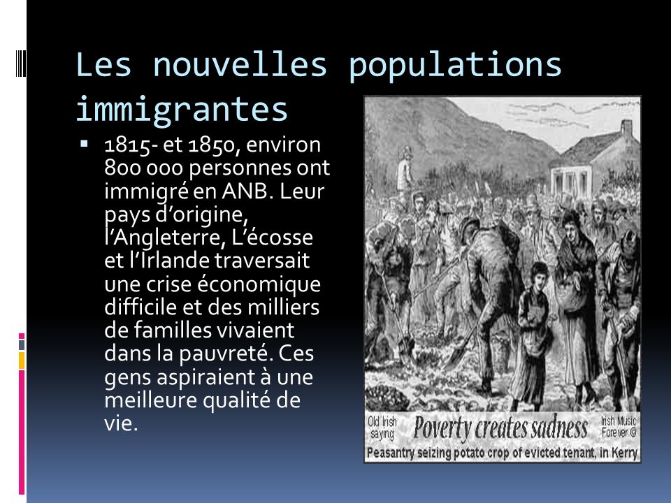 Les nouvelles populations immigrantes