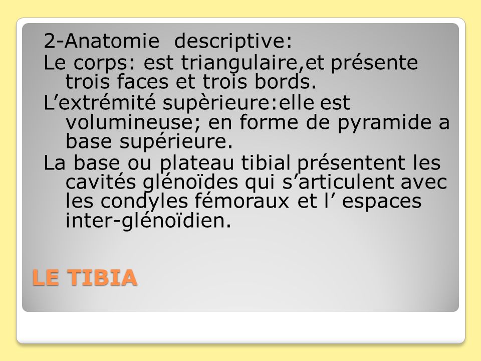 LE TIBIA 2-Anatomie descriptive: