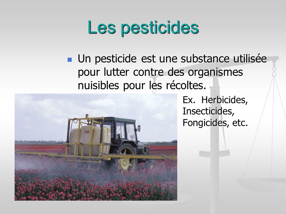 Les pesticides Un pesticide est une substance utilisée pour lutter contre des organismes nuisibles pour les récoltes.