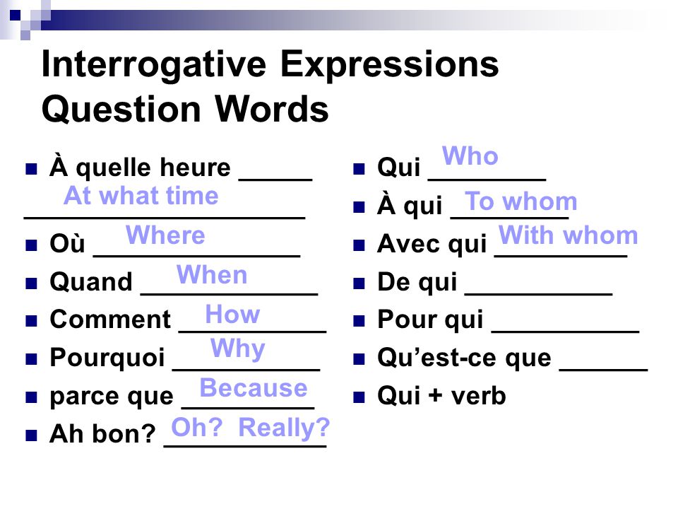 Interrogative Expressions Question Words
