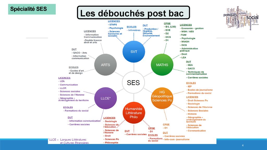 La Spécialité : Sciences Economiques Et Sociales En 1ère - Ppt Télécharger