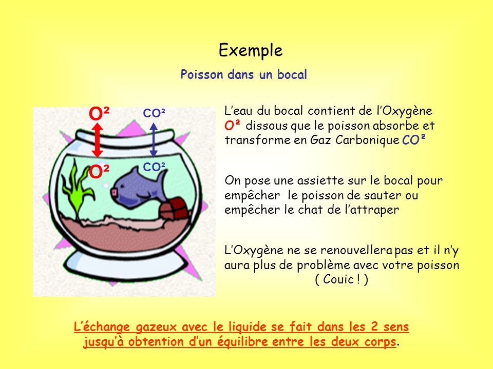 O² Exemple Poisson dans un bocal