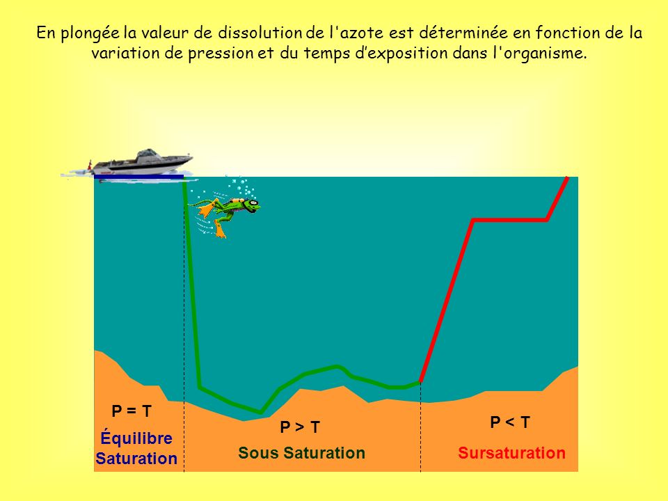 En plongée la valeur de dissolution de l azote est déterminée en fonction de la variation de pression et du temps d’exposition dans l organisme.