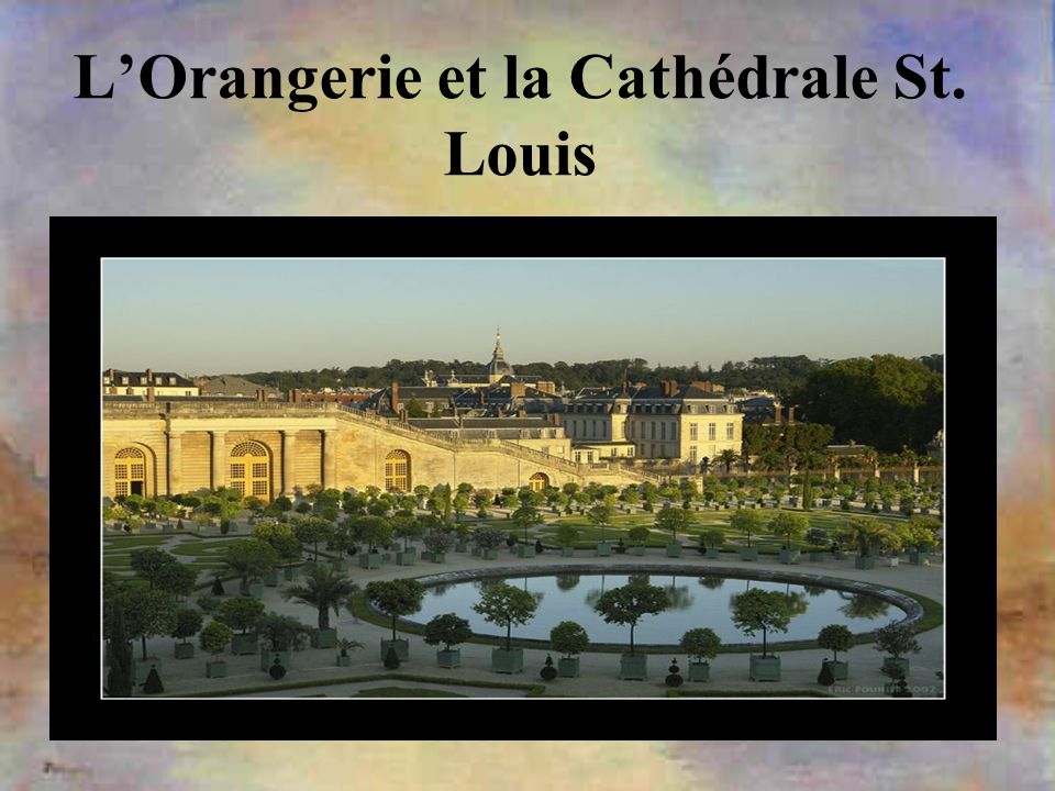 L’Orangerie et la Cathédrale St. Louis