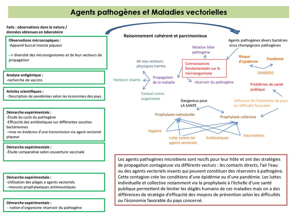 Niveau : Seconde Partie Du Programme : Corps Humain Et Santé ...