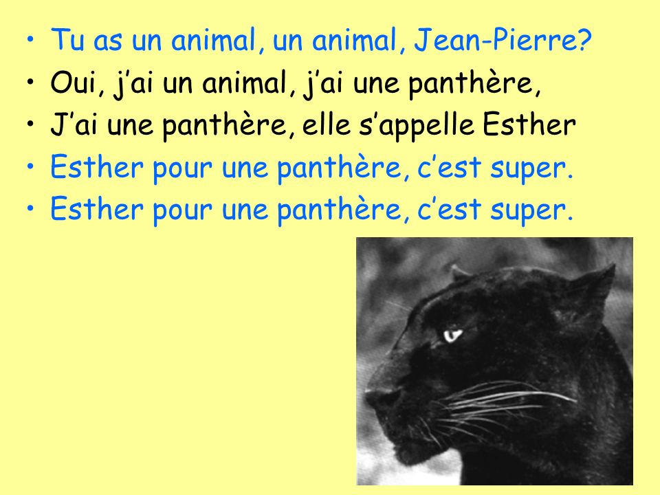 Tu as un animal, un animal, Jean-Pierre