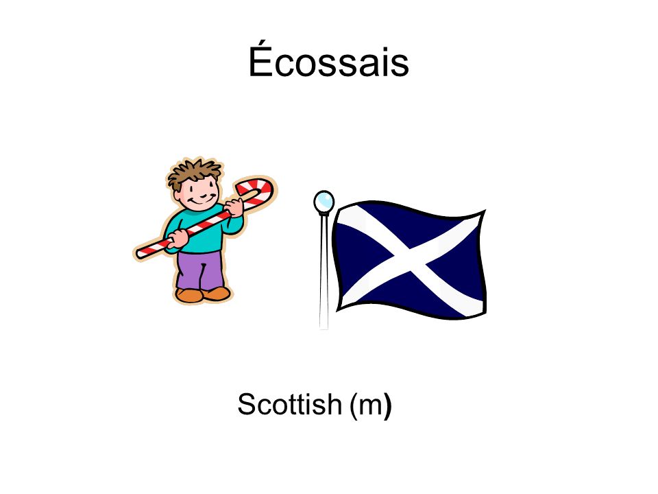Écossais Scottish (m)
