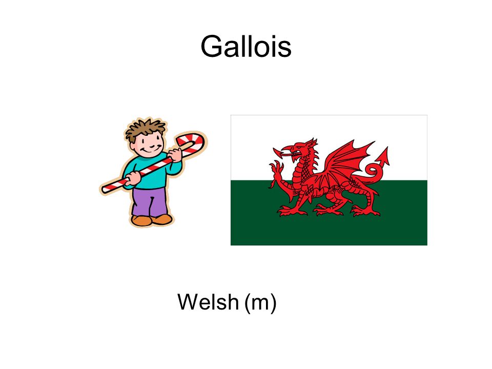 Gallois Welsh (m)