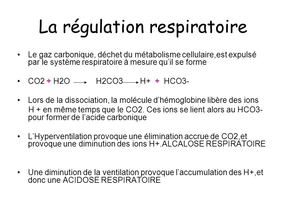 La régulation respiratoire