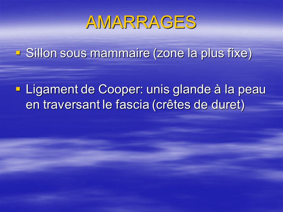 AMARRAGES Sillon sous mammaire (zone la plus fixe)