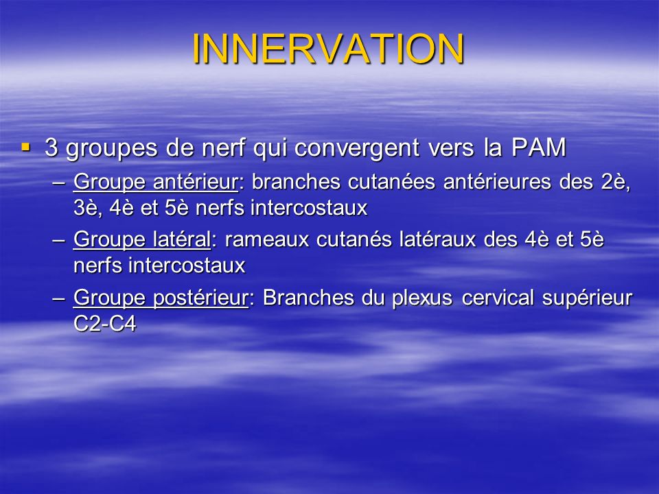 INNERVATION 3 groupes de nerf qui convergent vers la PAM