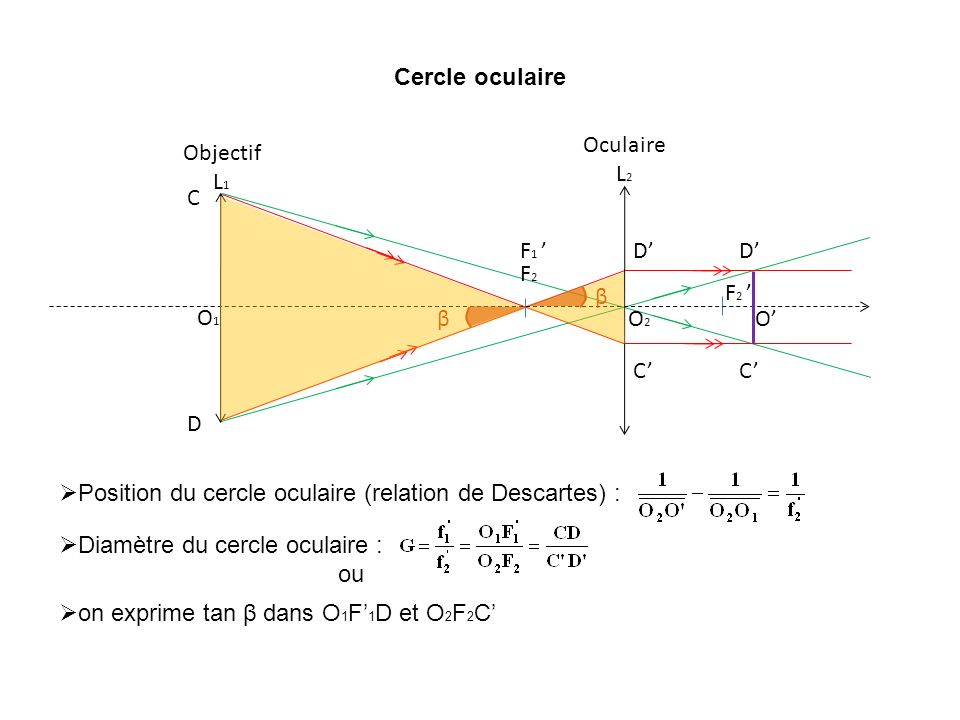 Cercle oculaire O2. F2. F2 ’ Oculaire L2. F1 ’ O1. Objectif L1. C. D. C’ D’ C’ D’ O’ β.