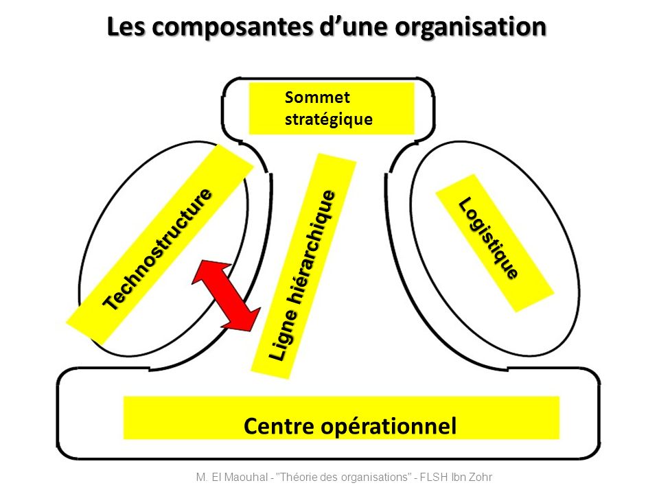 Les composantes d’une organisation