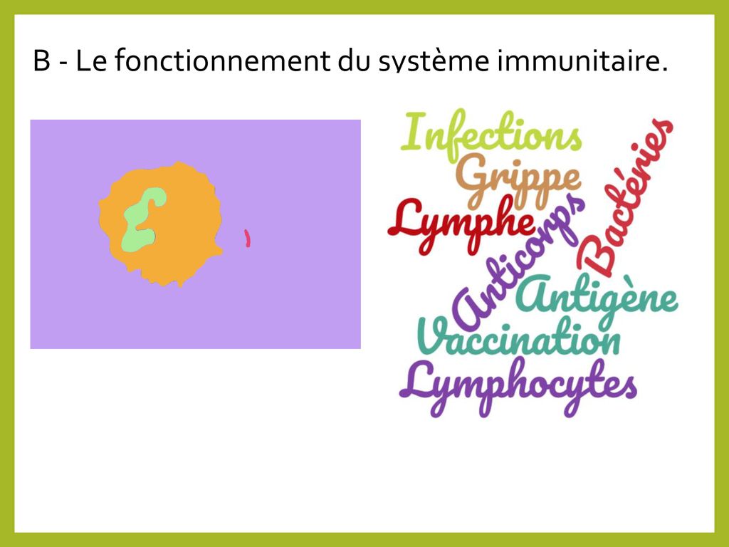 SPECIALITE SVT. - Ppt Télécharger