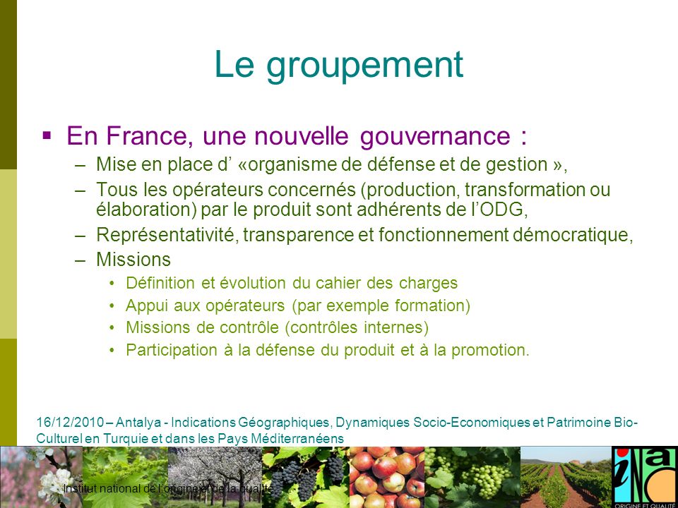 Le groupement En France, une nouvelle gouvernance :