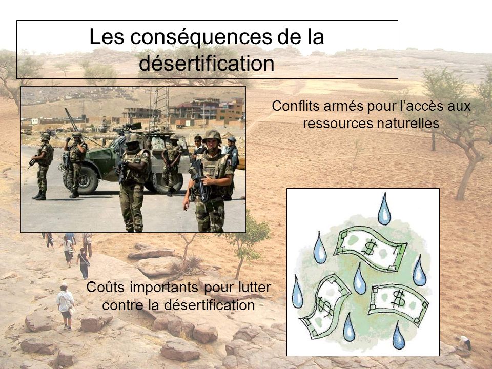 Les conséquences de la désertification