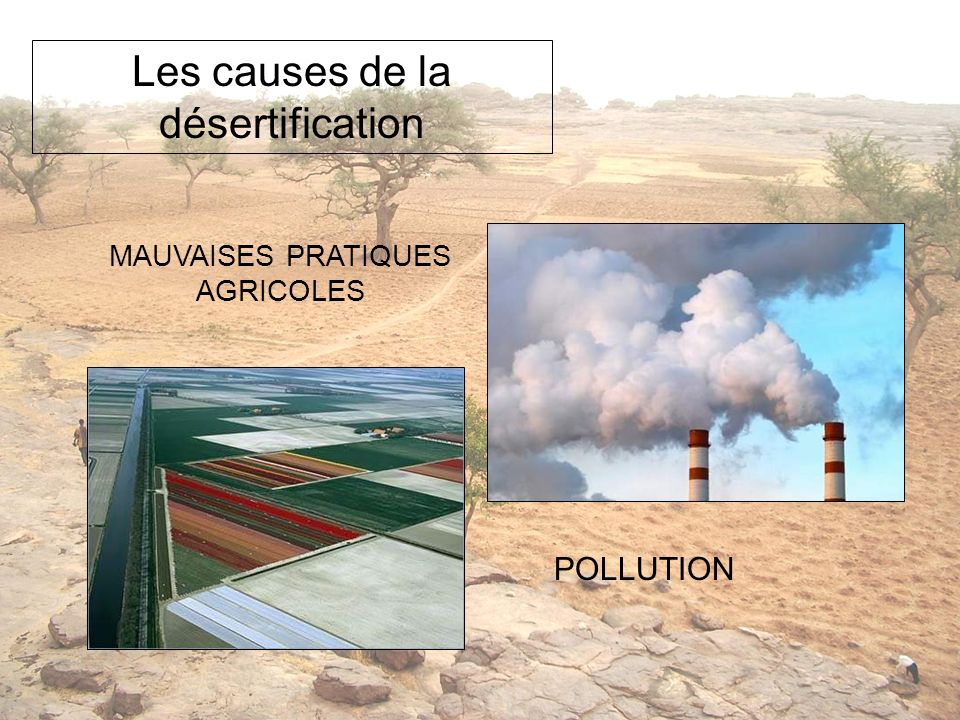 Les causes de la désertification
