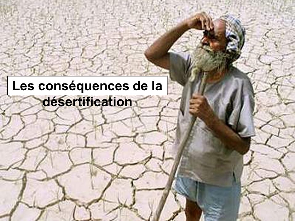 Les conséquences de la désertification
