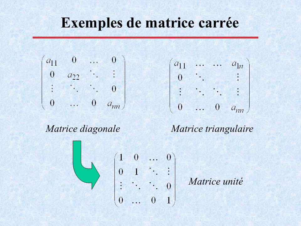 Exemples de matrice carrée