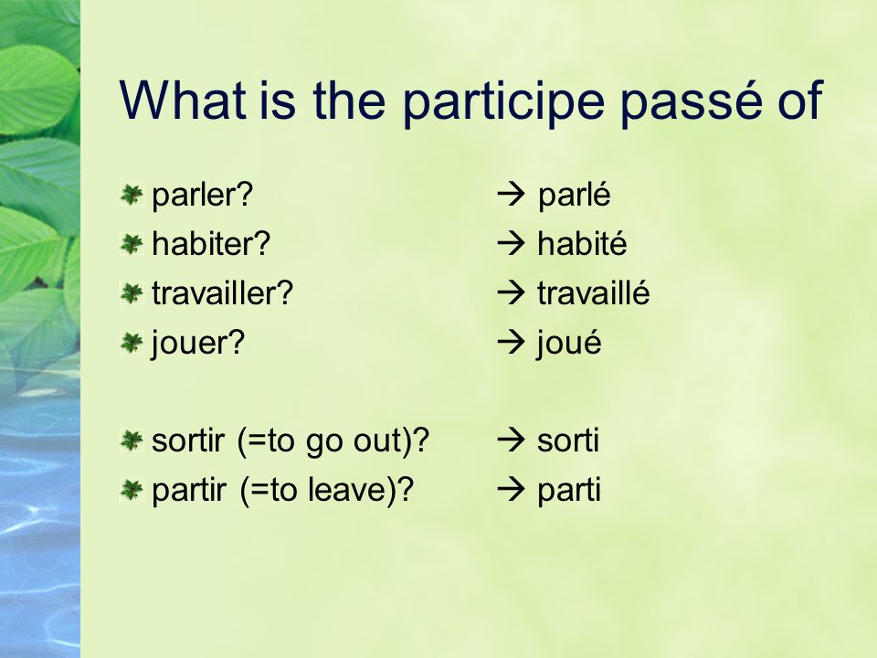 What is the participe passé of
