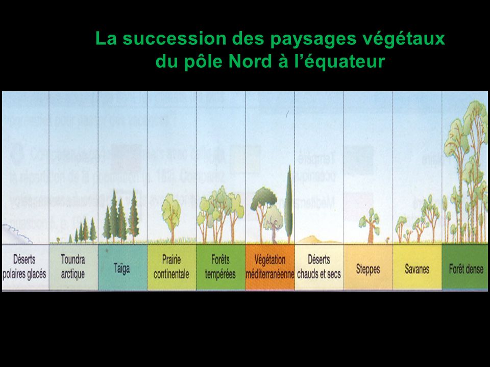 La succession des paysages végétaux du pôle Nord à l’équateur