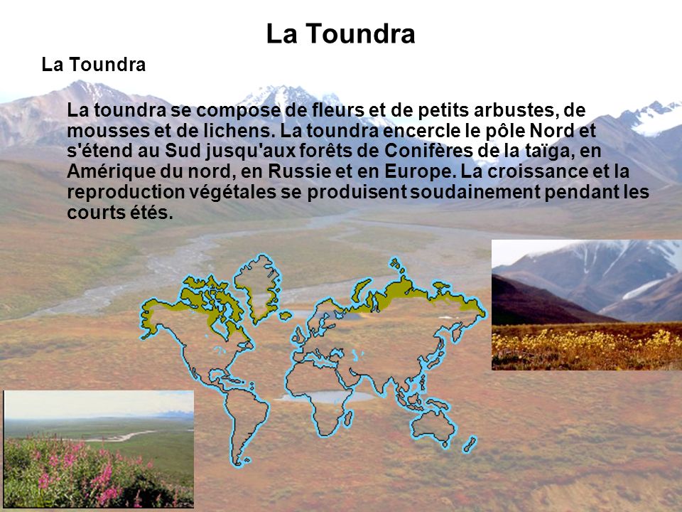 La Toundra