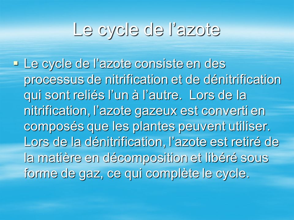 Le cycle de l’azote