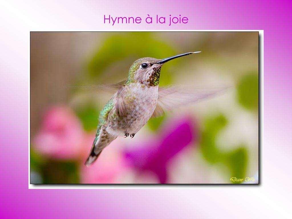 Hymne à La Joie. - Ppt Télécharger