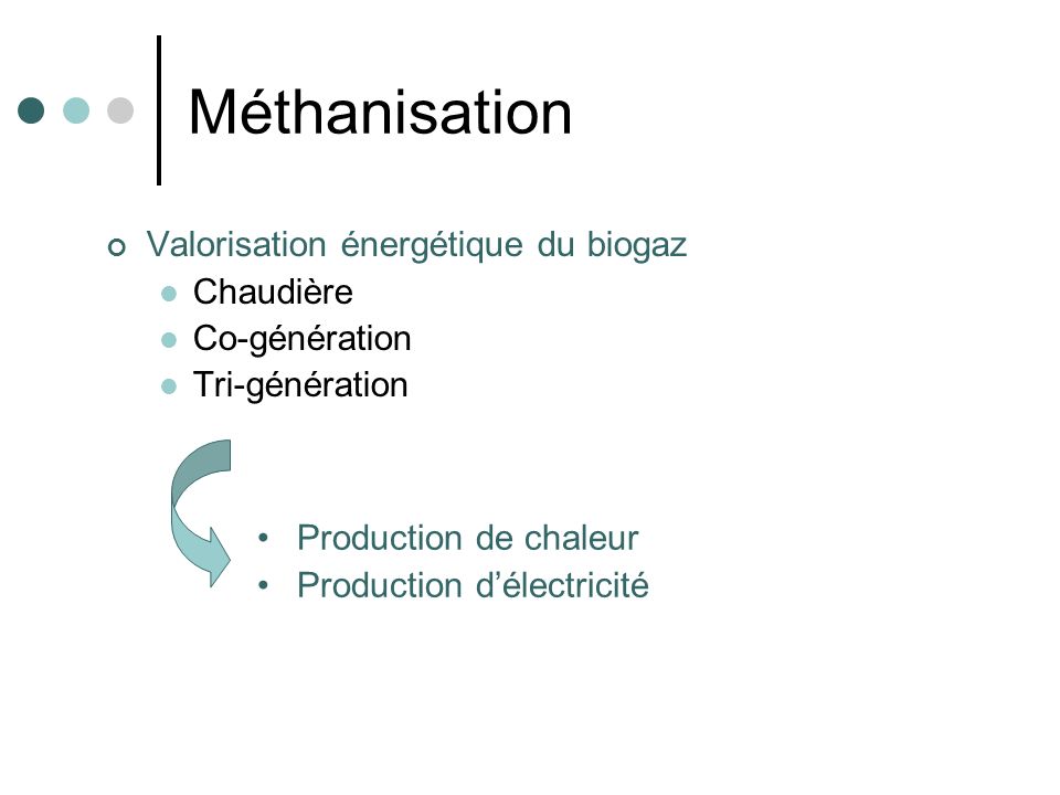 Méthanisation Valorisation énergétique du biogaz Chaudière