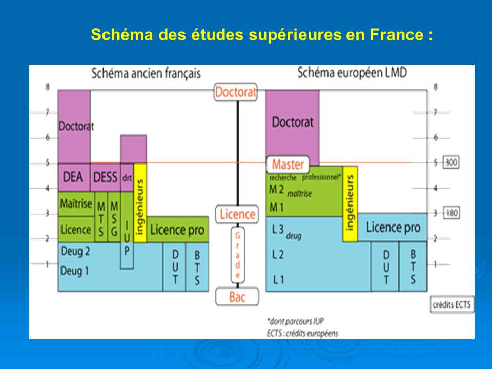 Schéma des études supérieures en France :